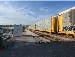 TTGX 835527